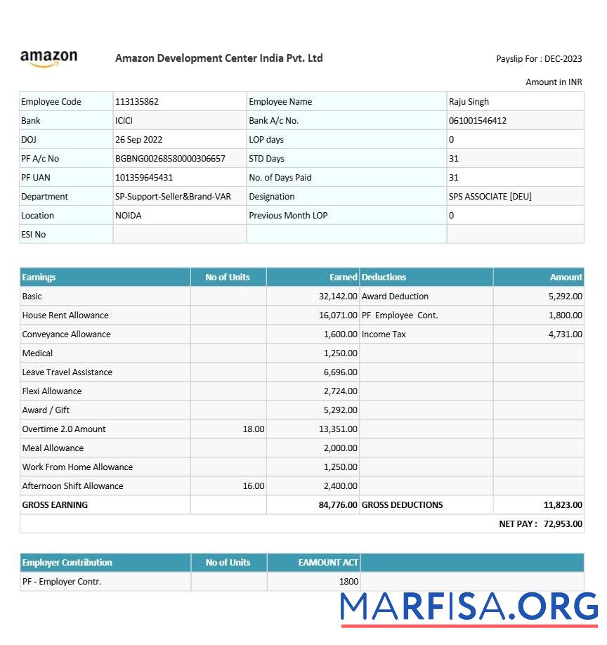Printable Amazon Development Center India payslip example